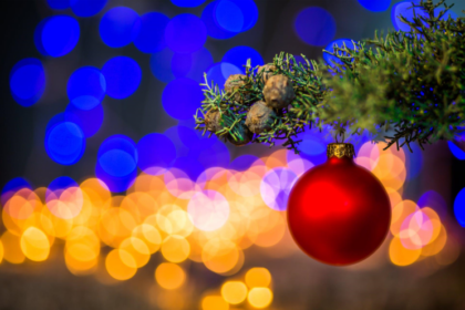 The Perfect Christmas Tree Skirt for Green Trees